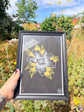 Original peony print in frame