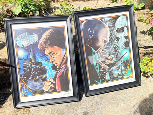 Harry Potter duo original prints