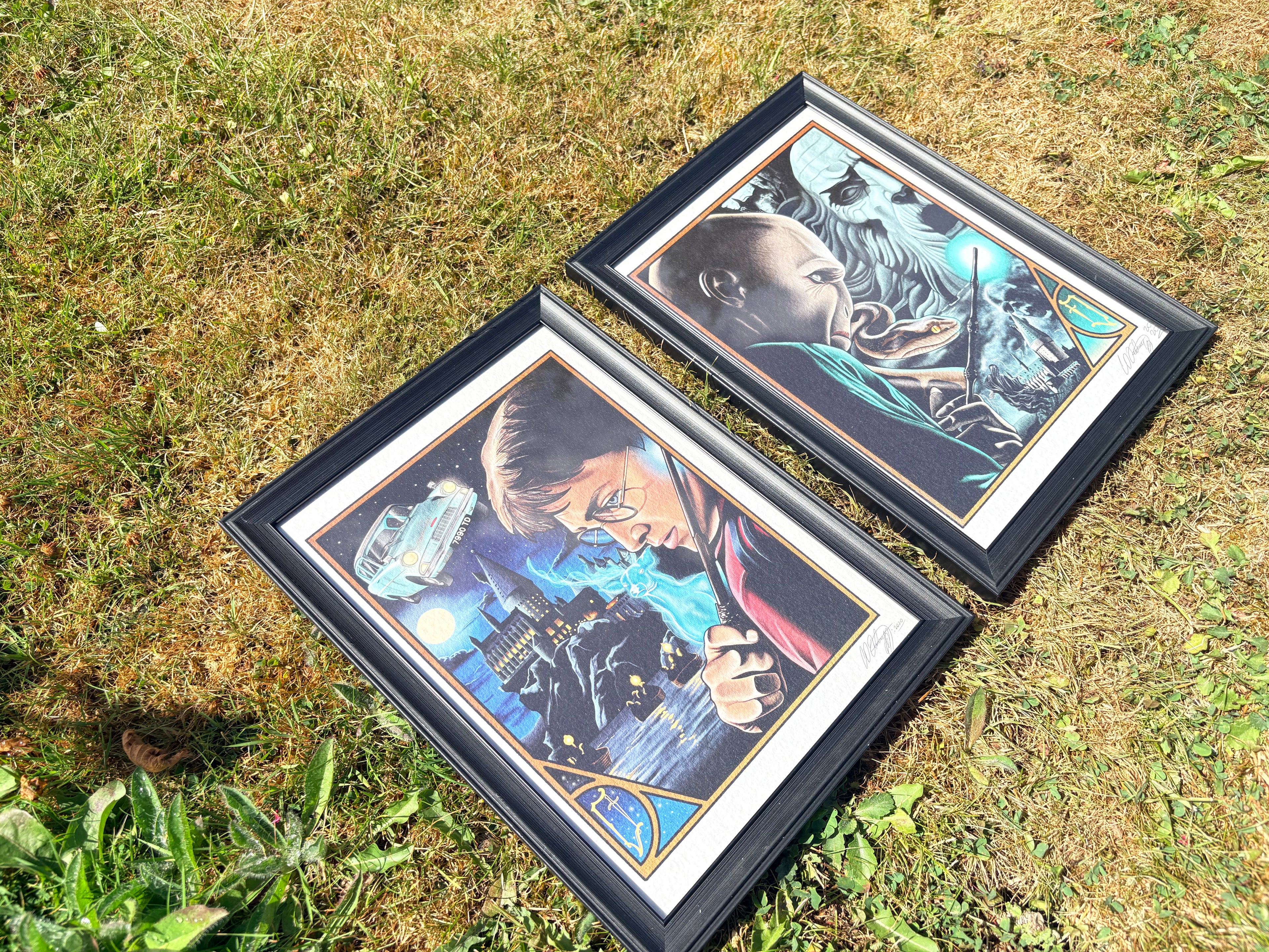 Harry Potter duo original prints