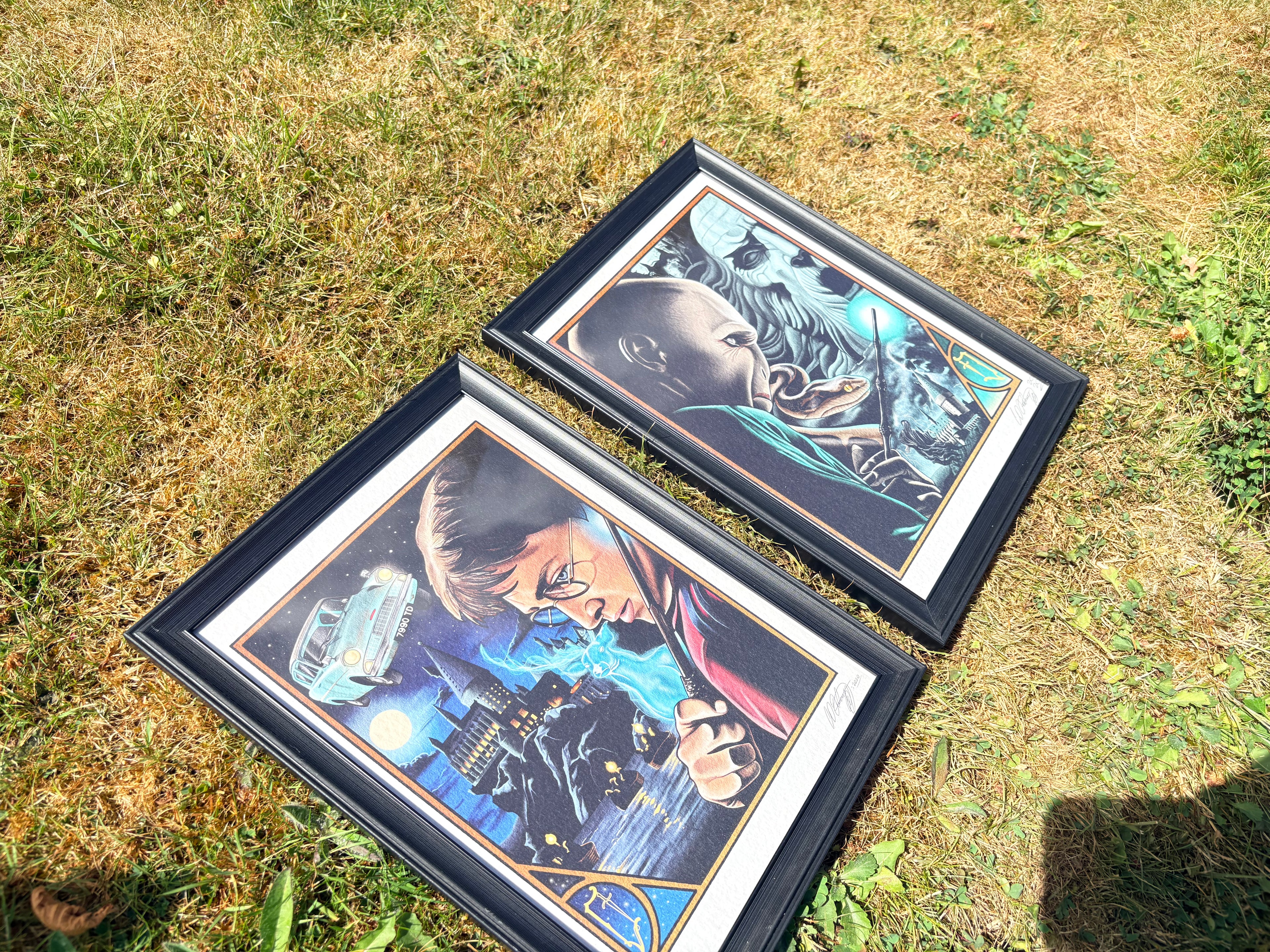 Harry Potter duo original prints