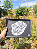 Original peony print (framed)