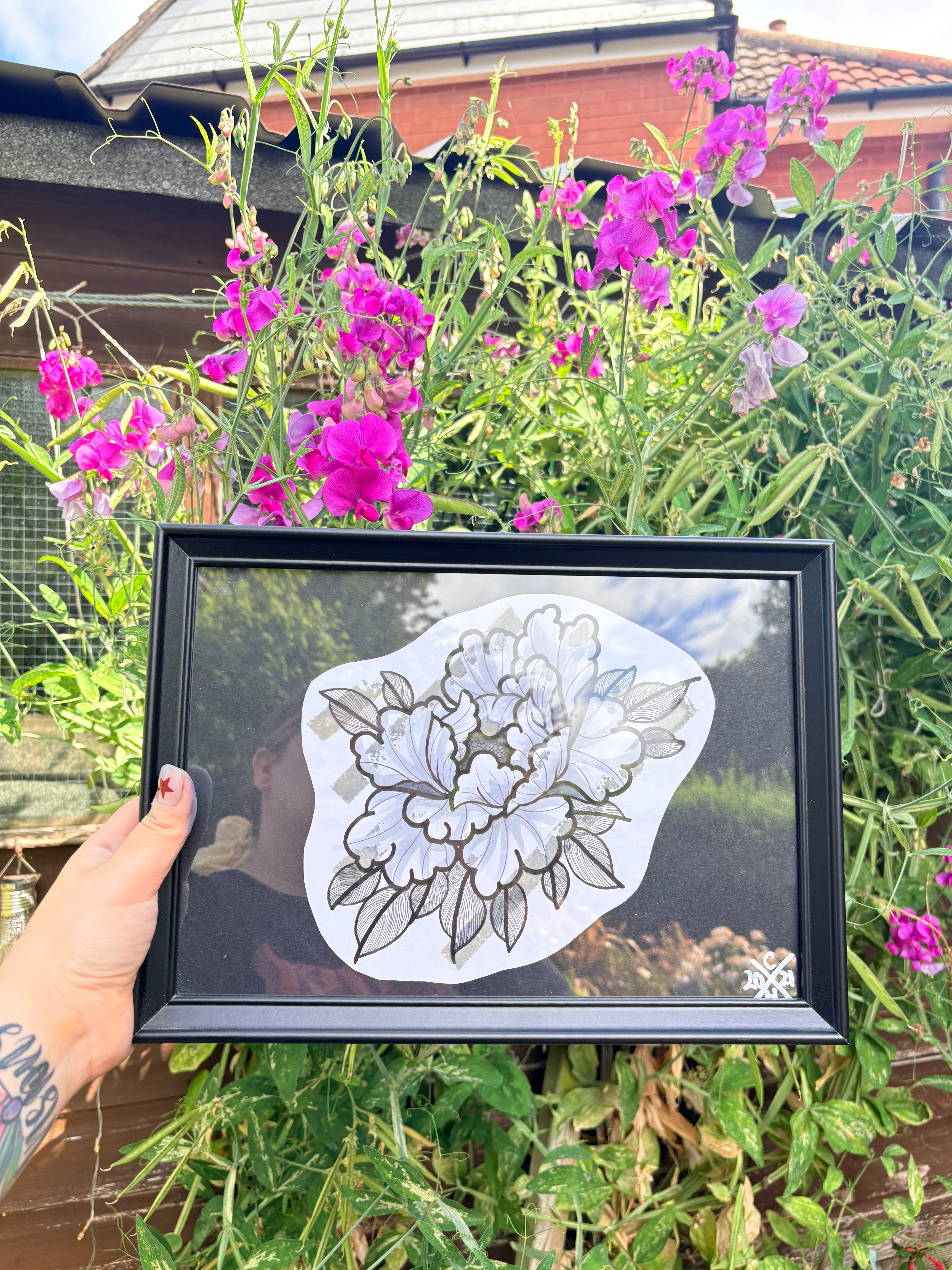 Original peony print (framed)
