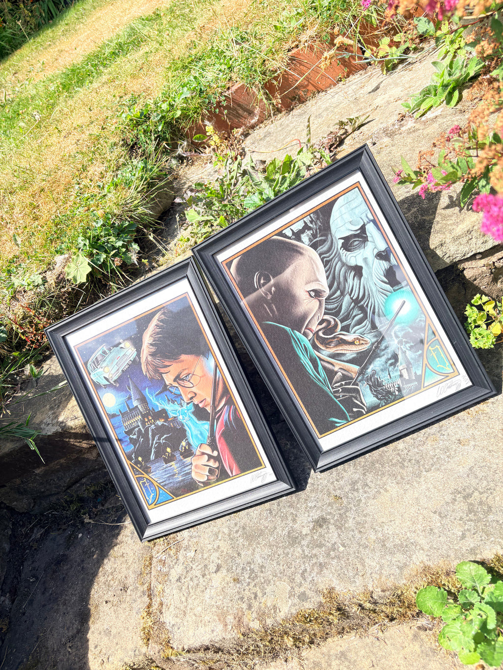 Harry Potter duo original prints