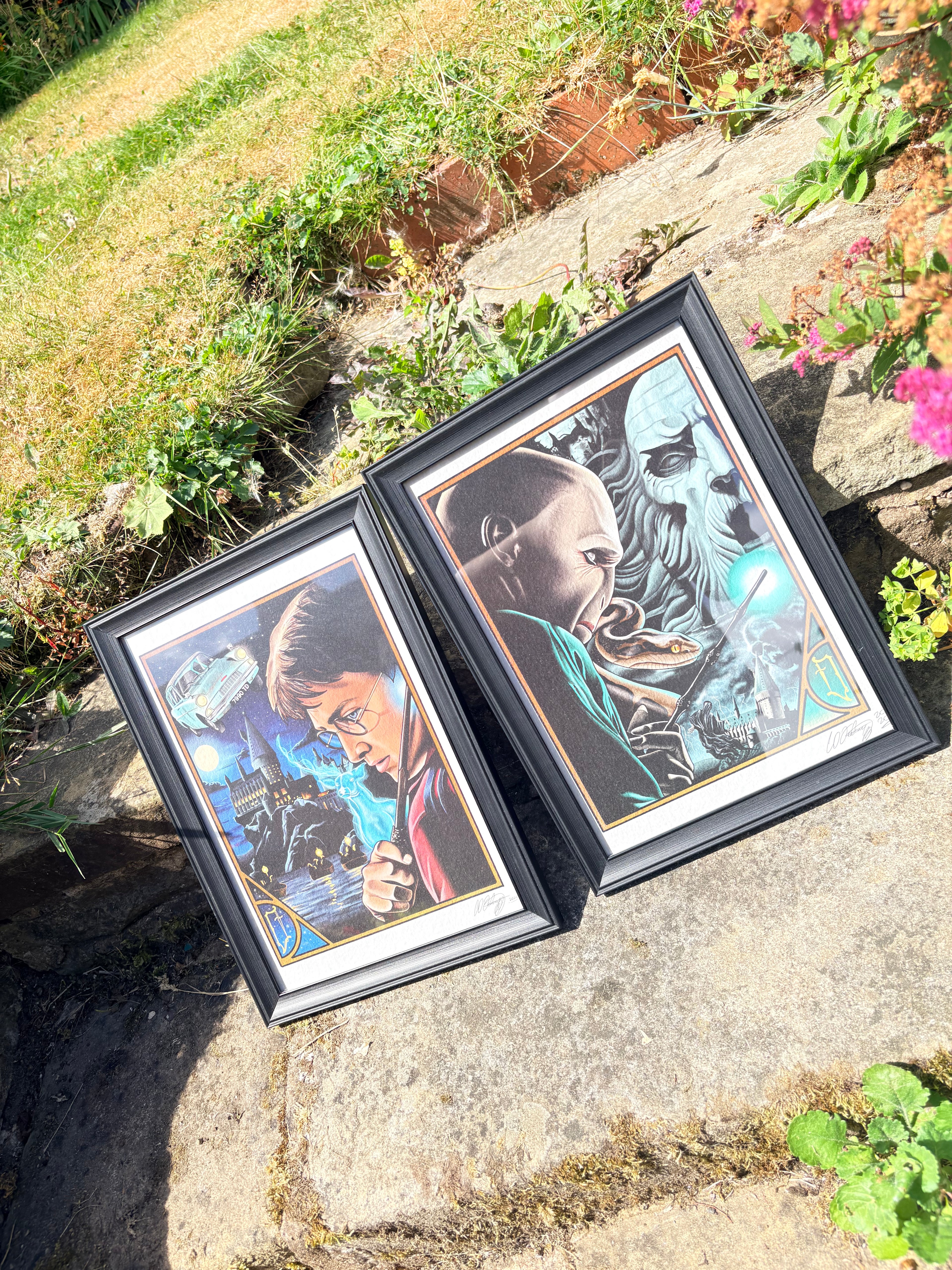 Harry Potter duo original prints